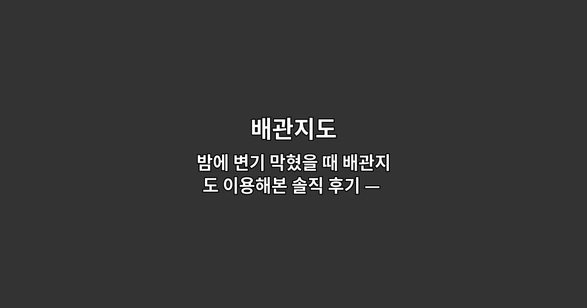 밤에 변기 막혔을 때 배관지도 이용해본 솔직 후기 — 비교부터 출장까지